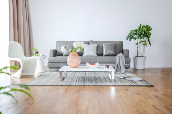 Illustrative photograph: a bright living room, simply furnished, with plants by the window. It is not a property we offer.